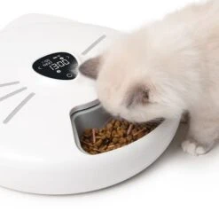 Comedero Automático Catit Pixi Smart 6-Meal -Mascota Suministros Ventas 287496 hagencontainer catit pixi smart 6meal futterautomat hs 12 6