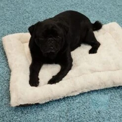 Self Heating Bed Cojín Para Perros -Mascota Suministros Ventas 288354 291896 waagenschmitt hundekissen selfheating bed hs 09 2