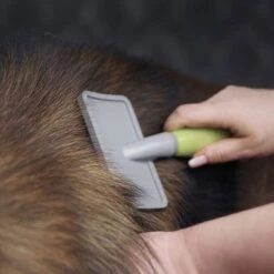 Carda Grande Moser Para Mascotas -Mascota Suministros Ventas 289696 moser grosse zupfbuerste hs 02 6