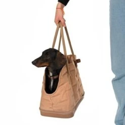 Bolso De Transporte TIAKI Premium Camello Para Mascotas -Mascota Suministros Ventas 295114 premium umhaengetasche camello fg 4524 6