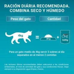 Purina ONE Indoor Formula Para Gatos De Interior -Mascota Suministros Ventas 2 mixed feeding es 9