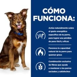 Hill's Metabolic Con Cordero Prescription Diet Pienso Para Perros -Mascota Suministros Ventas 2 pd metabolic dog bk32929 bk27893m bk32064m bk21343 bk21344 how works es 7