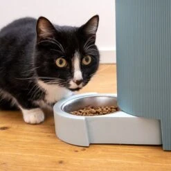 TIAKI Tolva Para Pienso Y Agua, Azul Claro Para Mascotas 23 TIAKI Tolva Para Pienso Y Agua, Azul Claro Para Mascotas -Mascota Suministros Ventas 302496 duo napf mit katze fg 1019 0