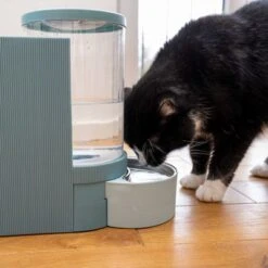 TIAKI Tolva Para Pienso Y Agua, Azul Claro Para Mascotas 39 TIAKI Tolva Para Pienso Y Agua, Azul Claro Para Mascotas -Mascota Suministros Ventas 302496 duo napf mit katze fg 1028 7