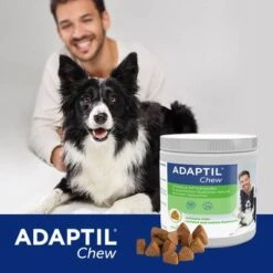 ADAPTIL® Chew Para Perros 7 ADAPTIL® Chew Para Perros -Mascota Suministros Ventas 302596 cevadeutschland adaptil chew hunde 30chews hs 06 6