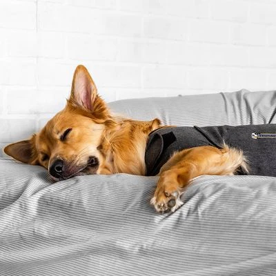 Chaleco Tranquilizante ThunderShirt® Gris Para Perros - Imagen 2