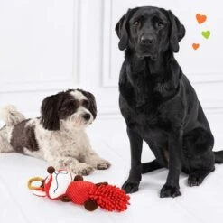 Doglove Zorro De Juguete Para Perros -Mascota Suministros Ventas 303196 edupet doglove hundespielzeug fuchs hs 05 9