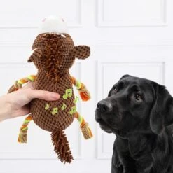 Doglove Caballo De Juguete Para Perros 8 Doglove Caballo De Juguete Para Perros -Mascota Suministros Ventas 303597 edupet doglove hundespielzeug pferd hs 03 7