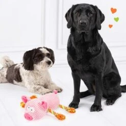 Doglove Cerdito De Juguete Para Perros -Mascota Suministros Ventas 303598 edupet doglove hundespielzeug pferd hs 05 3