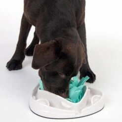 TIAKI Grass Slow Feeder Juguete De Inteligencia Para Perros -Mascota Suministros Ventas 304297 tiaki dog grass slow feeder fg 1834 7