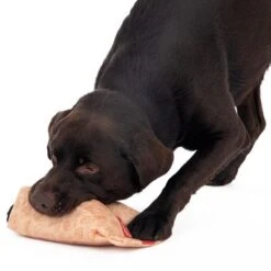 Menú De Hamburguesa Squeaky Juguete Para Perros -Mascota Suministros Ventas 309997 hundespielzeug squeaky burguermenu hs 15 9