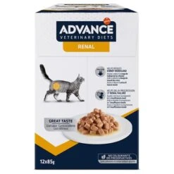 Advance Renal Veterinary Diets Comida Húmeda Para Gatos 8 Advance Renal Veterinary Diets Comida Húmeda Para Gatos -Mascota Suministros Ventas 310196 affinityspain advance veterinarydiets felinerenal hs 05 3
