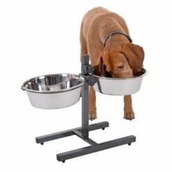 Soporte Ajustable Con 2 Comederos Incluidos -Mascota Suministros Ventas 313523 kumar hundebar inklusive 2 edelstahln pfe 03 dsc5878 8