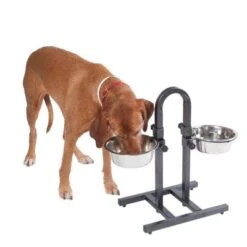 Soporte Ajustable Con Dos Comederos De 1,6 L 11 Soporte Ajustable Con Dos Comederos De 1,6 L -Mascota Suministros Ventas 313525 u hundebar 05 dsc9197 9