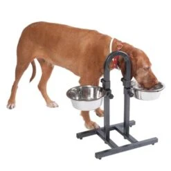 Soporte Ajustable Con Dos Comederos De 1,6 L 12 Soporte Ajustable Con Dos Comederos De 1,6 L -Mascota Suministros Ventas 313525 u hundebar 06 dsc9199 3