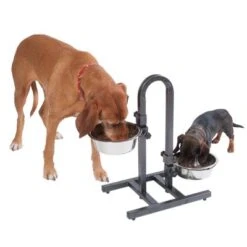 Soporte Ajustable Con Dos Comederos De 1,6 L 13 Soporte Ajustable Con Dos Comederos De 1,6 L -Mascota Suministros Ventas 313525 u hundebar 07 dsc9203 5