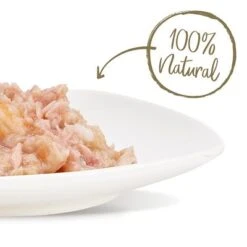 Applaws Selection 12 X 70g -Mascota Suministros Ventas 31588 thunfisch pazifik garnelen hs 03 5