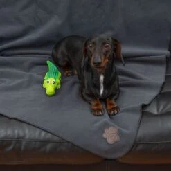 Manta TIAKI Nelly Para Mascotas -Mascota Suministros Ventas 317312 tiaki nelly fg 6059 3