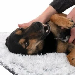 Manta TIAKI Cloud Para Mascotas 27 Manta TIAKI Cloud Para Mascotas -Mascota Suministros Ventas 318000 tiaki hundedecke decke cloud hs 23 7