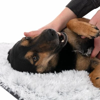 Manta TIAKI Cloud Para Mascotas 11 Manta TIAKI Cloud Para Mascotas - Imagen 11