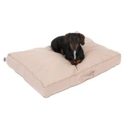 Colchón TIAKI Memory Foam Beige Para Perros 21 Colchón TIAKI Memory Foam Beige Para Perros -Mascota Suministros Ventas 318697 tiaki hundematratze beige fg 5020 2