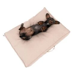 Colchón TIAKI Memory Foam Beige Para Perros 28 Colchón TIAKI Memory Foam Beige Para Perros -Mascota Suministros Ventas 318697 tiaki hundematratze beige fg 5024 1