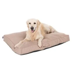Colchón TIAKI Memory Foam Beige Para Perros 20 Colchón TIAKI Memory Foam Beige Para Perros -Mascota Suministros Ventas 318698 mit hund fg 5093 8