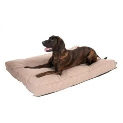 Colchón TIAKI Memory Foam Beige Para Perros 22 Colchón TIAKI Memory Foam Beige Para Perros -Mascota Suministros Ventas 318699 mit hund fg 5104 1