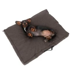 Colchón TIAKI Memory Foam Marrón Para Perros -Mascota Suministros Ventas 318700 tiaki hundematzratze braun fg 5058 5
