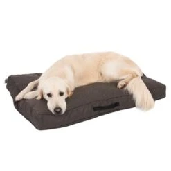 Colchón TIAKI Memory Foam Marrón Para Perros -Mascota Suministros Ventas 318701 mit hund fg 5083 6