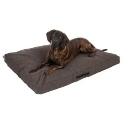 Colchón TIAKI Memory Foam Marrón Para Perros -Mascota Suministros Ventas 318702 mit hund fg 5116 0