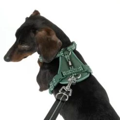 Arnés TIAKI Neoprene Verde Para Perros -Mascota Suministros Ventas 323016 neoprene geschirr s fg 1514 4