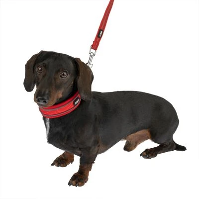 Correa Ajustable TIAKI Reflective Rubber Roja Para Perros 3 Correa Ajustable TIAKI Reflective Rubber Roja Para Perros - Imagen 3