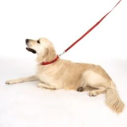 Correa Ajustable TIAKI Reflective Rubber Roja Para Perros 21 Correa Ajustable TIAKI Reflective Rubber Roja Para Perros -Mascota Suministros Ventas 323199 soft save m fg 1630 5