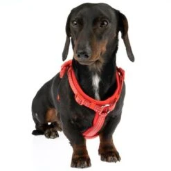 Arnés TIAKI Neoprene Rojo Para Perros 20 Arnés TIAKI Neoprene Rojo Para Perros -Mascota Suministros Ventas 323397 neoprene geschirr s fg 1487 1