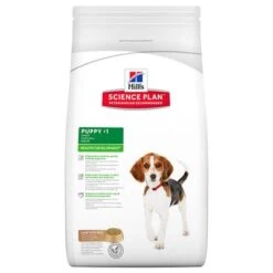 Hill's Science Plan Hill's Puppy <1 Medium Science Plan Con Cordero Y Arroz -Mascota Suministros Ventas 32390 pla hill s caninepuppy lambrice 3