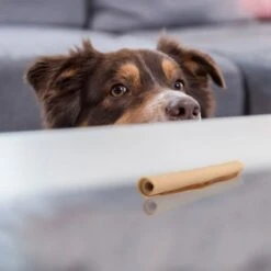 SmartBones Palitos Enrollados Con Pollo Para Perros 8 SmartBones Palitos Enrollados Con Pollo Para Perros -Mascota Suministros Ventas 324401 smartsticks wrapped kausticks huhn stck hs 04 8