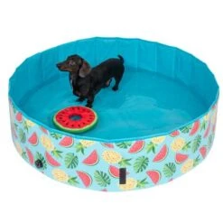 Piscina Para Perros TIAKI Con Cubierta -Mascota Suministros Ventas 325909 schwimmende wassermelone mit ball fg 6696 3
