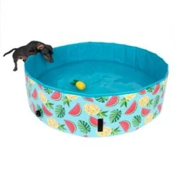 Piscina Para Perros TIAKI Con Cubierta -Mascota Suministros Ventas 326696 floating pineapple fg 6641 9