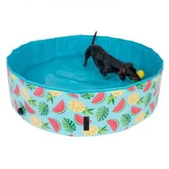 Piscina Para Perros TIAKI Con Cubierta -Mascota Suministros Ventas 326696 floating pineapple fg 6648 6