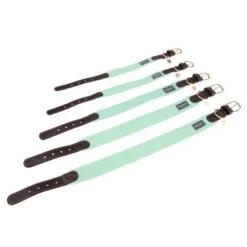 Collar Nomad Tales Bloom Menta Para Perros -Mascota Suministros Ventas 326798 326896 326800 326801 326803 nomad tales bloom halsbaender fg 1464 5