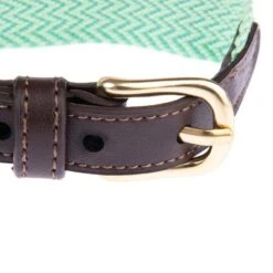 Collar Nomad Tales Bloom Menta Para Perros -Mascota Suministros Ventas 326798 326896 326800 326801 326803 nomad tales bloom halsbaender fg 1485 4