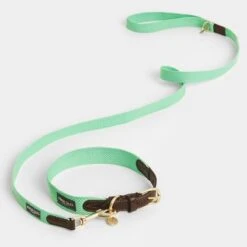Collar Nomad Tales Bloom Menta Para Perros -Mascota Suministros Ventas 326798 nomad tales bloom halsband mint 04 7