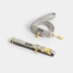 Correa Nomad Tales Calma Piedra Para Perros -Mascota Suministros Ventas 326806 326197 nomad tales calma halsband stone 01 7 1