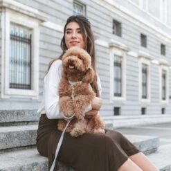 Collar Nomad Tales Calma Piedra Para Perros -Mascota Suministros Ventas 326806 326197 nomad tales calma halsband stone 05 0