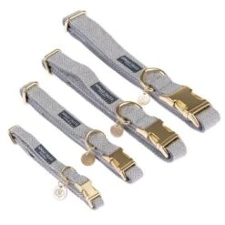 Collar Nomad Tales Calma Piedra Para Perros -Mascota Suministros Ventas 326806 326807 326996 326997 nomad tales calma halsbaender fg 1620 4