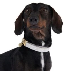 Collar Nomad Tales Calma Piedra Para Perros -Mascota Suministros Ventas 326807 calma m fg 7321 6