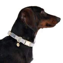 Collar Nomad Tales Calma Piedra Para Perros -Mascota Suministros Ventas 326807 calma m fg 7324 6
