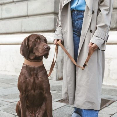 Correa Nomad Tales Bloom Caramelo Para Perros - Imagen 5