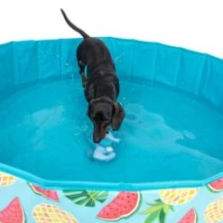 Piscina Para Perros TIAKI Con Cubierta -Mascota Suministros Ventas 329014 tiaki seahorse fg 6664 7